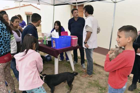 Mañana Tu Casa Tu Perro realizará vacunación antirrábica gratuita en Rosario de la Frontera