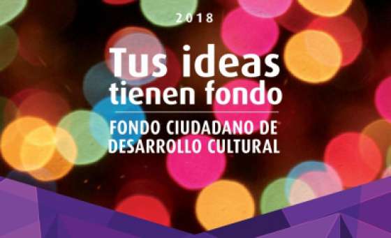 Seleccionaron proyectos del Fondo Ciudadano Segunda Evaluación 2018