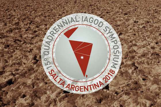 Salta congrega una comisión de expertos internacionales del ámbito geológico minero