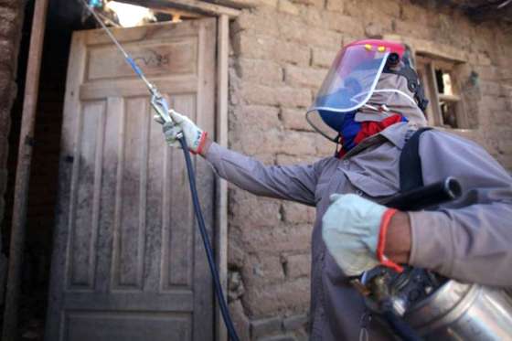 En el Día Nacional por una Argentina sin Chagas destacan la importancia de la prevención