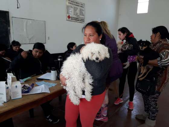 El programa Tu Casa Tu Perro realizó atención gratuita en Rosario de la Frontera