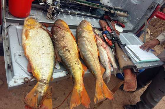 Importante operativo de la Agencia de Protección Ambiental en el Norte