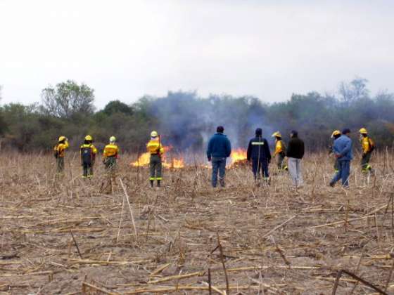 La Brigada Forestal realizará el martes una quema controlada en el Aéreo Club