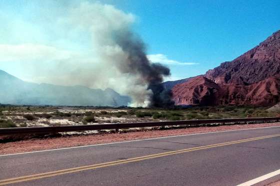 Guardaparques alertaron y sofocaron un incendio en la Reserva Quebrada de las Conchas