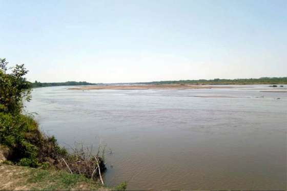 Ambiente investiga la causa de la mortandad de peces en el río Bermejo