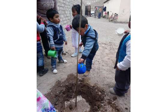 Niños de San Antonio de los Cobres plantaron árboles en el Centro de Primera Infancia