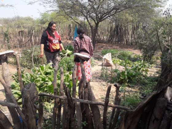 Familias de Rivadavia Banda Sur participan del proyecto de Huertas Comunitarias