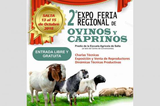 Estudiantes y productores comparten experiencias en la Expo Feria Regional de Ovinos y Caprinos