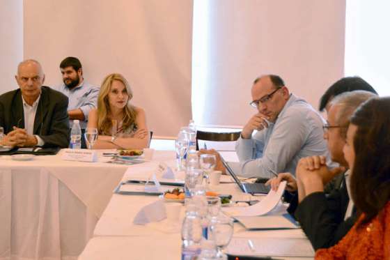 La ministra Bibini participó en la reunión del Consejo Federal Agropecuario