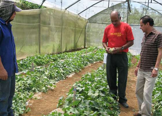 Talleres sobre uso responsable de agroquímicos 
