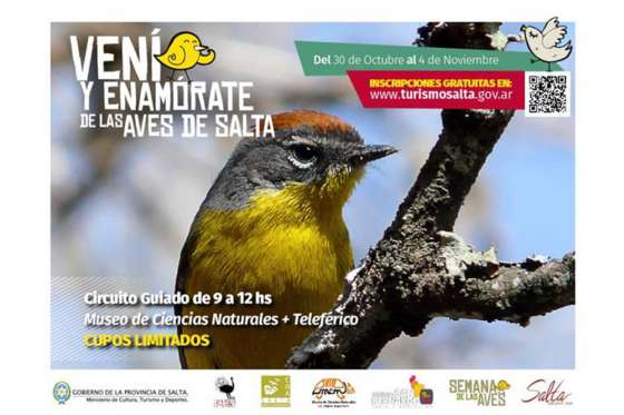 Realizan hoy el lanzamiento de la Semana de las Aves
