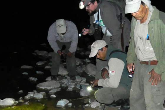 Capacitaron a guardaparques en búsqueda y registro de ranas en peligro de extinción