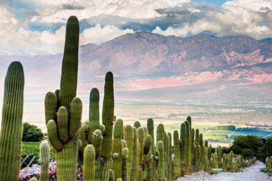 Eligen a Salta entre los 10 destinos turísticos más fascinantes para el 2019