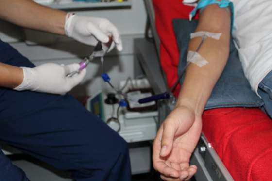 Salta será sede de jornada regional sobre elegibilidad de donantes de sangre