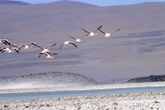 Celebran el 18° aniversario del Sistema Provincial de Áreas Protegidas con una jornada gratuita