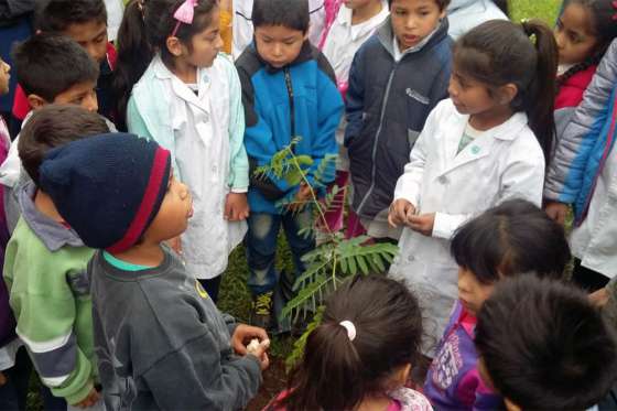 Salta pone en marcha un proyecto inédito en el país frente al cambio climático