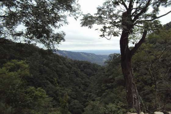 Multas millonarias y orden de restaurar zonas desmontadas ilegalmente