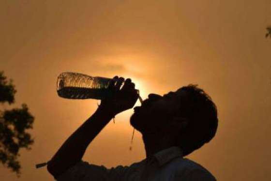 Salud Pública recomienda medidas para prevenir golpes de calor