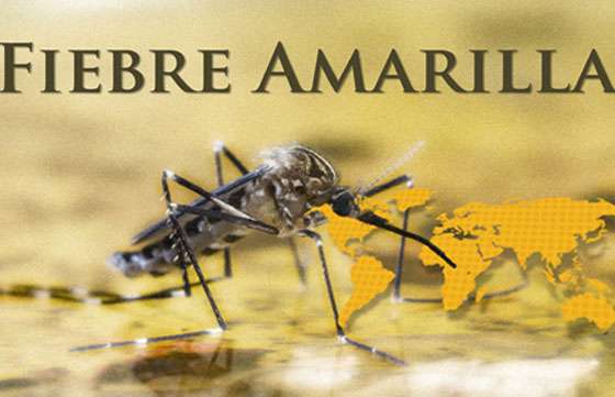 Lugares de capital e interior donde se aplica la vacuna contra la fiebre amarilla
