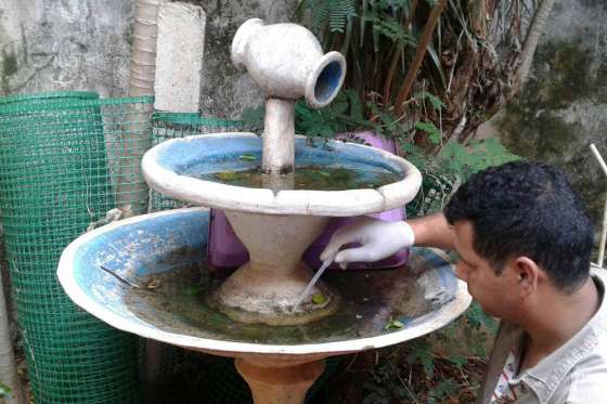 En zona norte y oeste de la capital se trabajará para detectar reservorios de Aedes aegypti