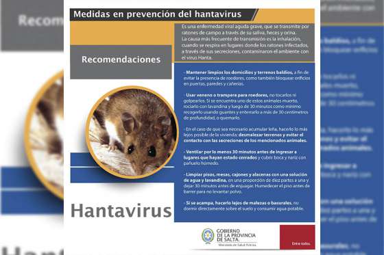 Insisten en extremar la limpieza de casas, patios y jardines para prevenir hantavirus