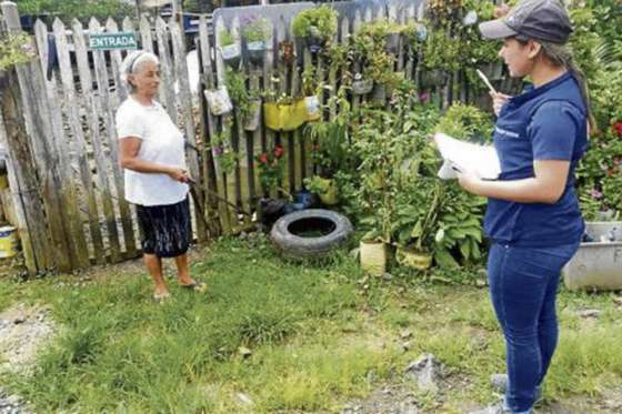 Intensifican las tareas en terreno para erradicar al mosquito transmisor de enfermedades