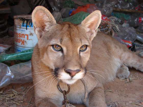 Premiaron a los guardaparques provinciales en su día