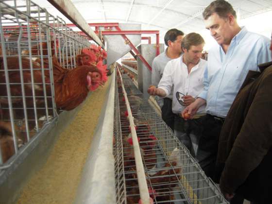 En La Caldera se instalará una línea eléctrica en beneficio de la producción