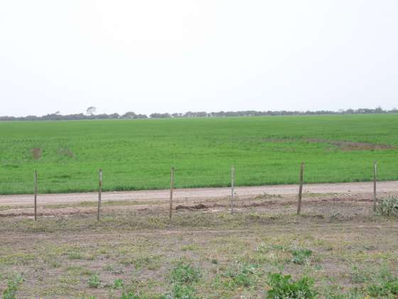 Una nueva política en desmontes