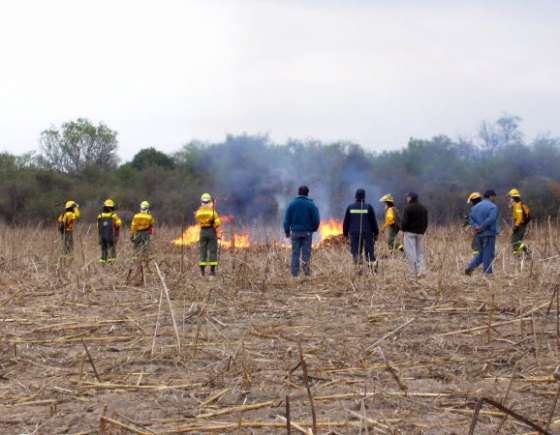 Defensa Civil trabajó en diferentes focos de incendios