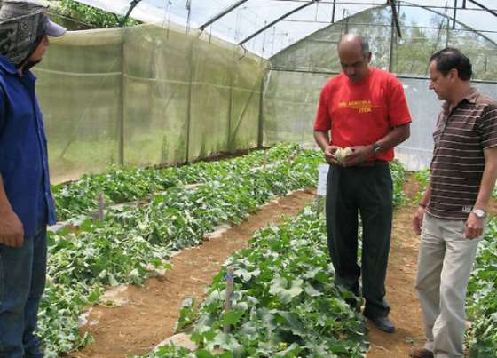 Capacitan en gestión de productos fitosanitarios y plaguicidas