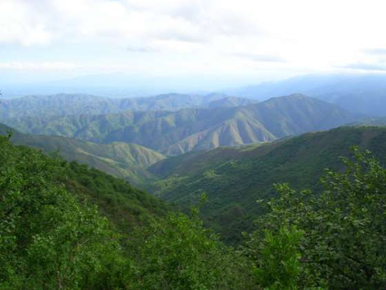 Se creó en Salta la Agencia de Bosques Nativos