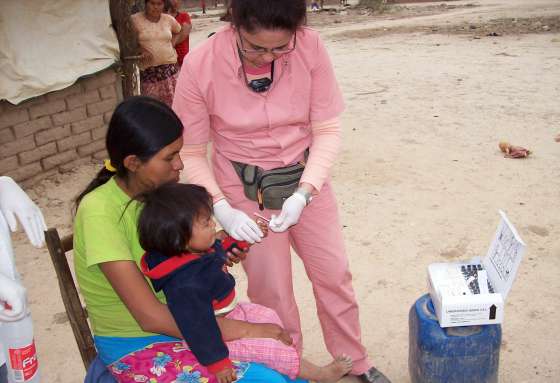 En Alto La Sierra no hay viviendas infestadas con vinchucas