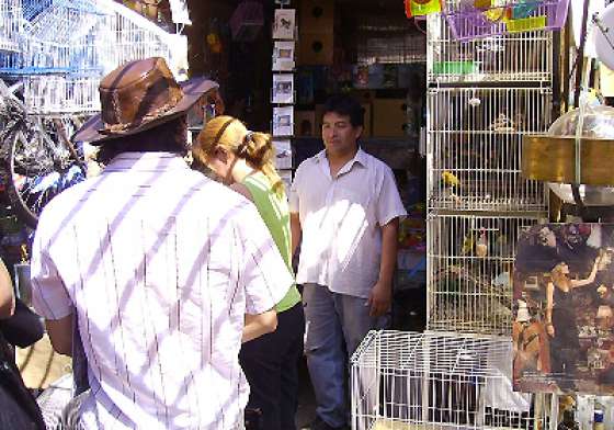 Apoyo del Colegio de Veterinarios contra la venta de animales silvestres