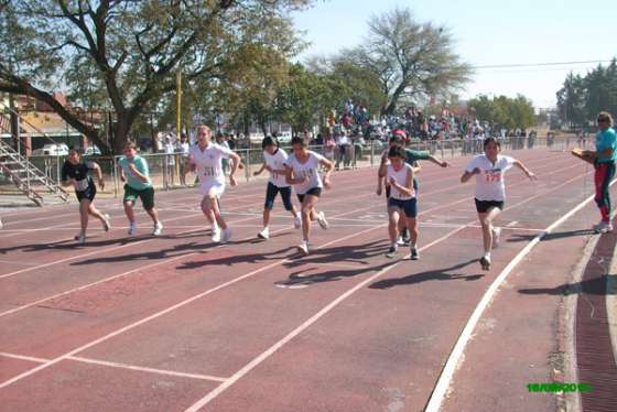 Más de 400 deportistas salteños participarán de los Juegos Evita en Mar del Plata