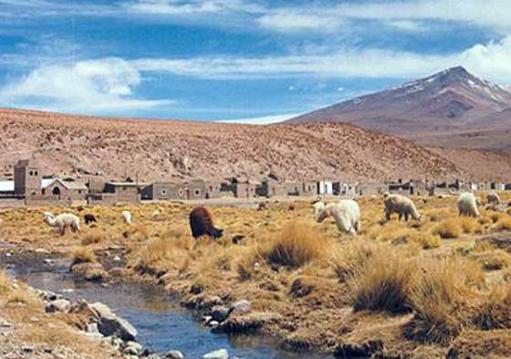 Avanza el proyecto creación de área protegida en la puna salteña