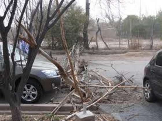Recomendaciones ante fuertes vientos