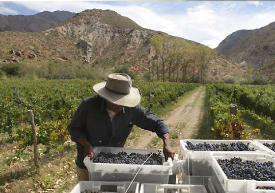 Seminario gratuito en Cafayate sobre la exportación de vinos