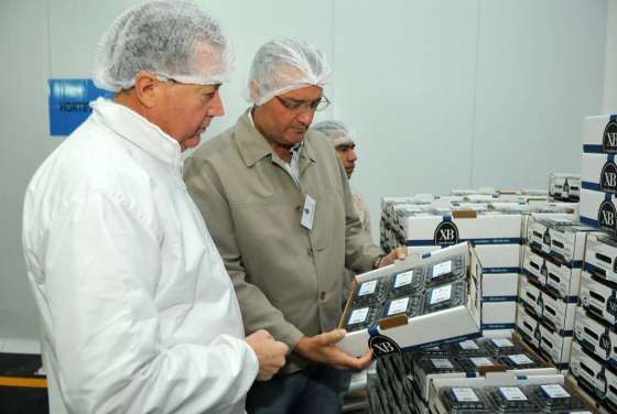 Alternativa logística para la exportación de productos salteños