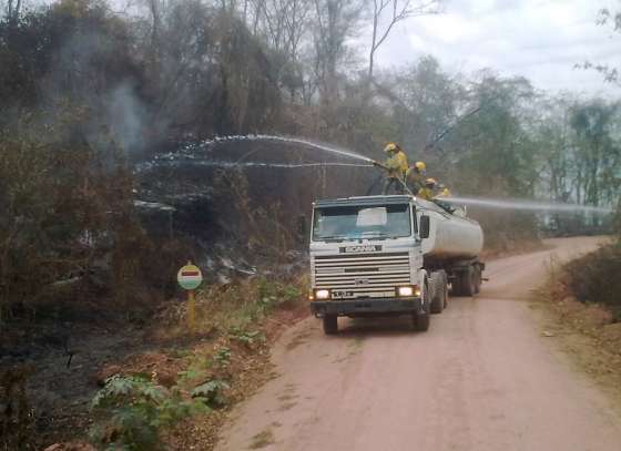 Defensa Civil extinguió incendio forestal en Colonia Santa Rosa