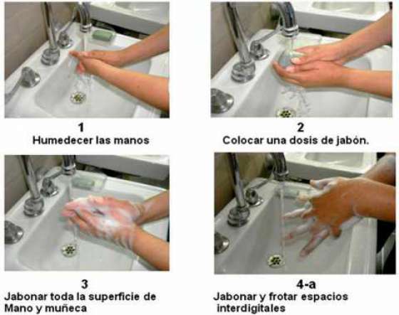 Cómo evitar diarreas y deshidrataciones