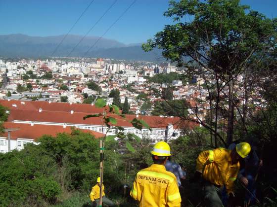 Defensa Civil comenzó la reforestación en el cerro San Bernardo