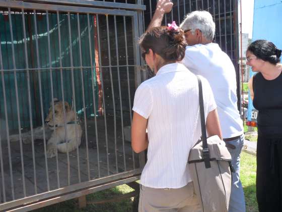Inspección y secuestro de fauna silvestre en un circo