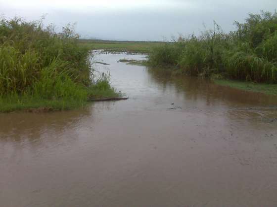 Vialidad trabaja en la ruta provincial 3  