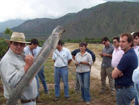 Recorrida por viñedos afectados por la mosca de fruta y la cochinilla