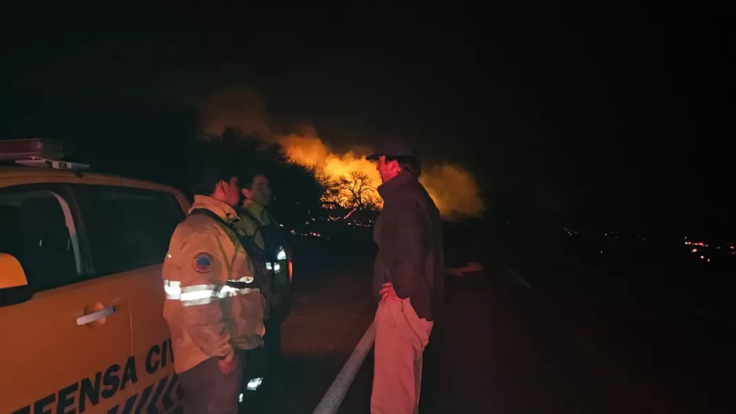 108520-intenso-trabajo-de-los-equipos-de-combate-de-incendios-en-cafayate-tras-la-reactivacion-de-fo