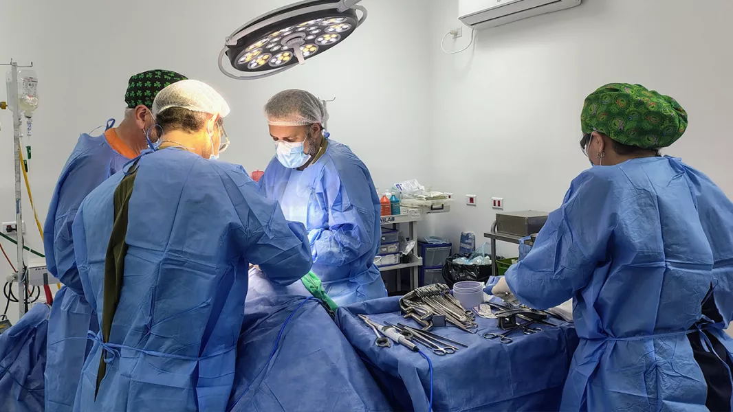 108716-en-la-primera-mitad-del-anio-se-hicieron-12-trasplantes-de-rinion-en-el-hospital-arturo-oniat
