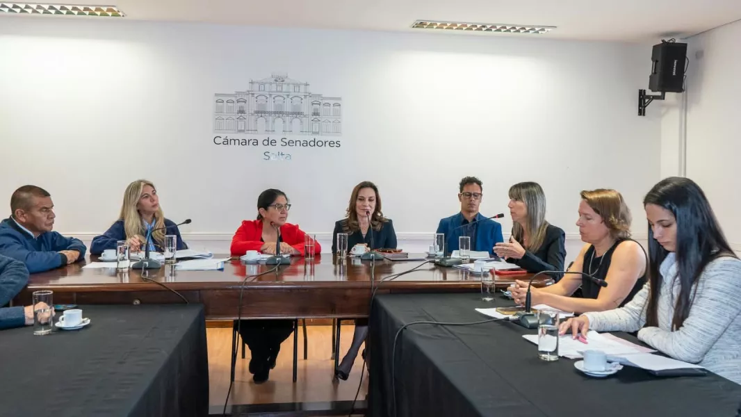 109863-analizaron-la-prorroga-de-la-emergencia-social-por-violencia-de-genero