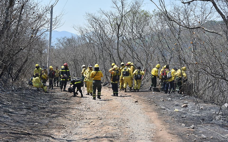 Noticia: Incendios en el cerro 20 de Febrero: trabajo articulado para  extinguir los focos