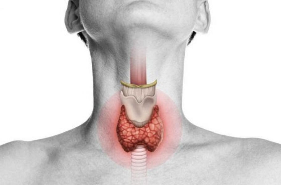 Acerca de la tiroides